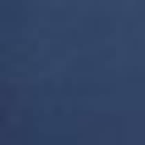 blue swatch  