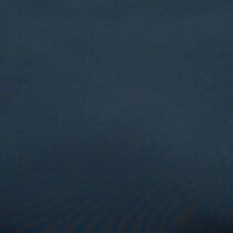 blue swatch  
