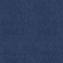 blue swatch  