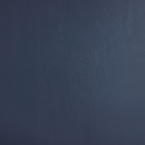 blue swatch  