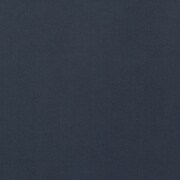 blue swatch  