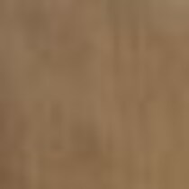 bronze swatch  