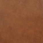 brown swatch  