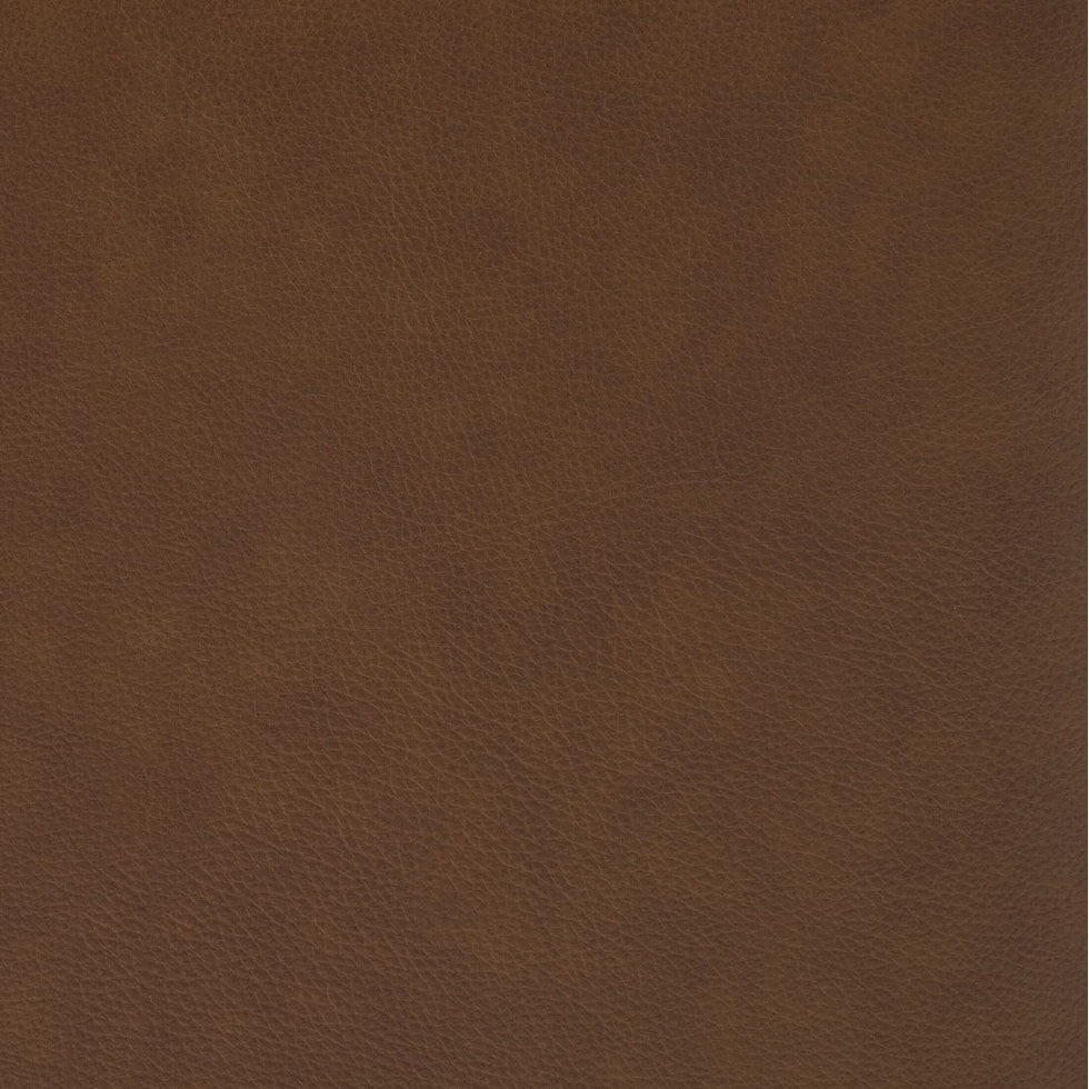 brown swatch  