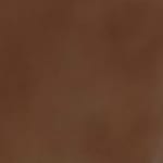 brown swatch  