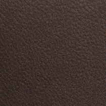 brown swatch  