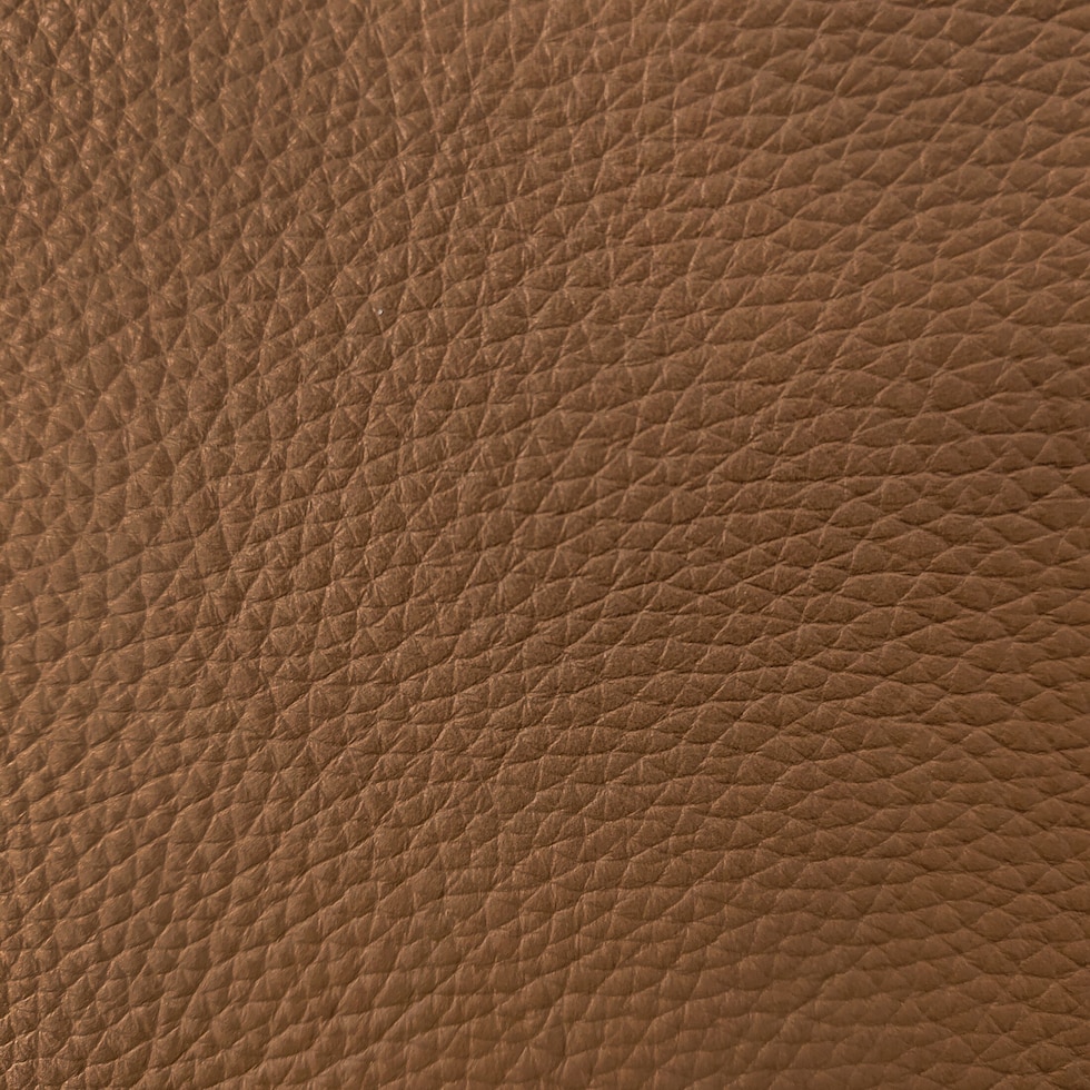 camel swatch  
