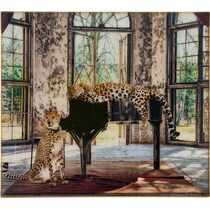 cat concerto multicolor wall art   
