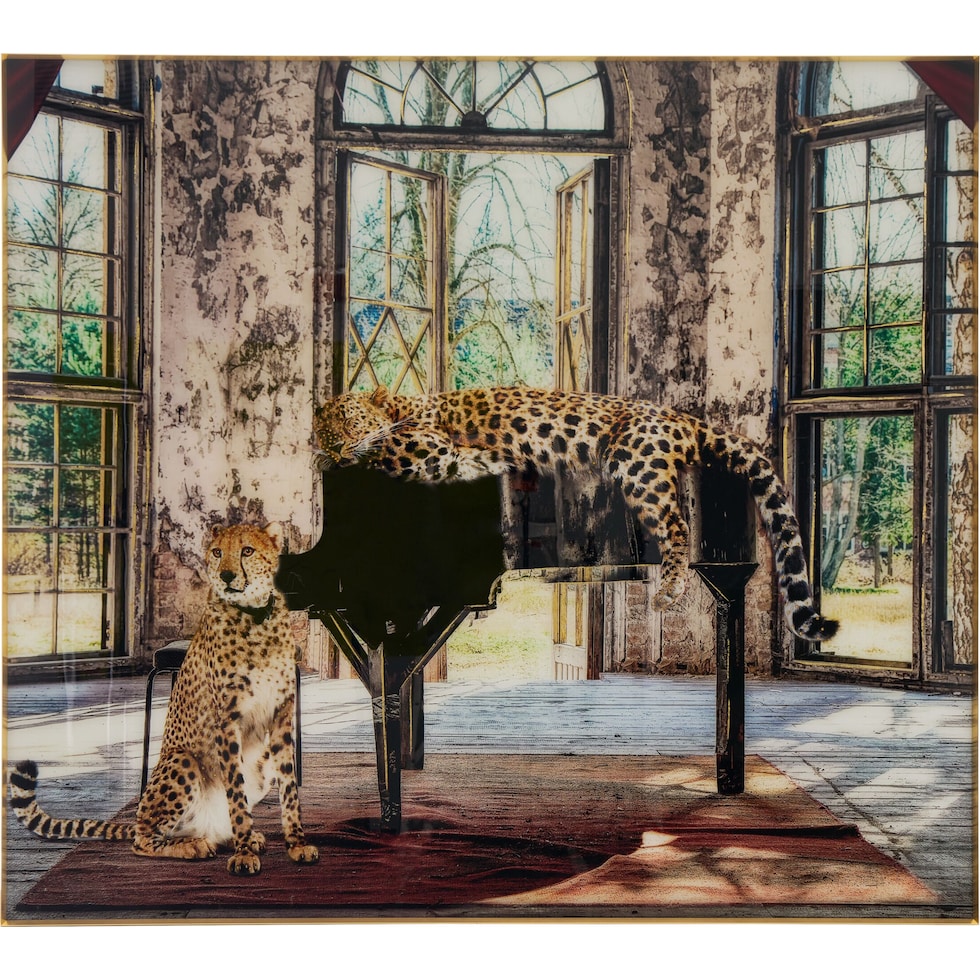cat concerto multicolor wall art   