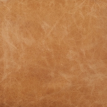 chestnut swatch  