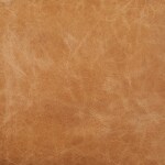 chestnut swatch  