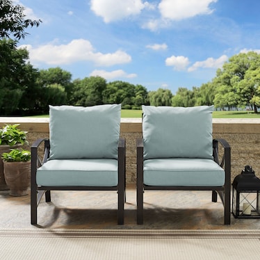 Clarion Set of 2 Outdoor Chairs - Mist/Bronze