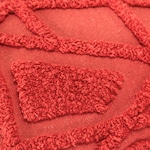 coral swatch  