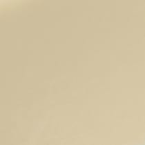 cream swatch  