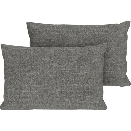 2-Pack Custom 14" x 22" Pillows - Curious Charcoal