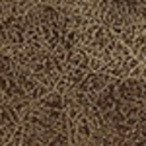 dark brown swatch  