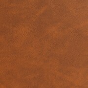 dark brown swatch  