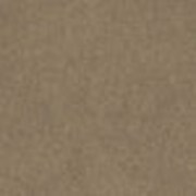 dark brown swatch  