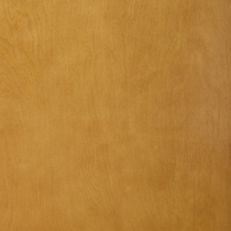 dark brown swatch  