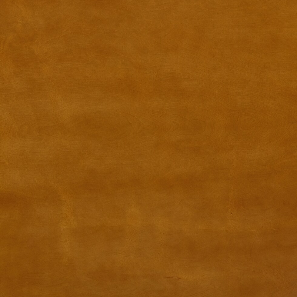dark brown swatch  