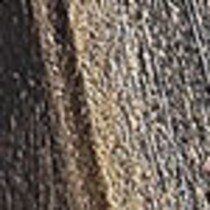dark brown swatch  