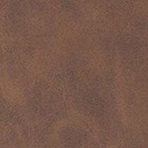 dark brown swatch  