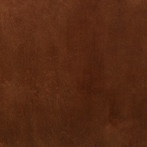 dark brown swatch  