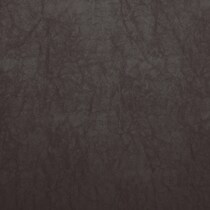 dark brown swatch  