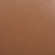 dark brown swatch  