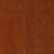dark brown swatch  