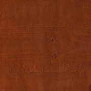dark brown swatch  