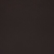 dark brown swatch  