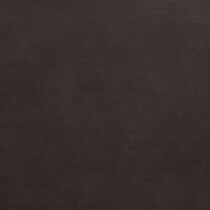 dark brown swatch  