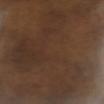 dark brown swatch  