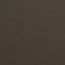 dark brown swatch  