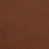 dark brown swatch  