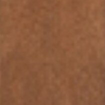 dark brown swatch  