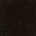 dark brown swatch  