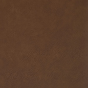 dark brown swatch  