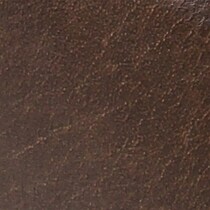 dark brown swatch  