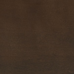 dark brown swatch  