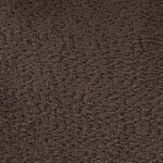 dark brown swatch  