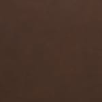 dark brown swatch  