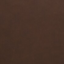 dark brown swatch  