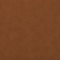 dark brown swatch  