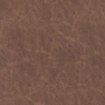 dark brown swatch  
