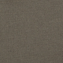 dark brown swatch  
