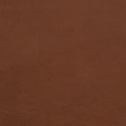 dark brown swatch  