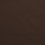 dark brown swatch  