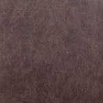 dark brown swatch  